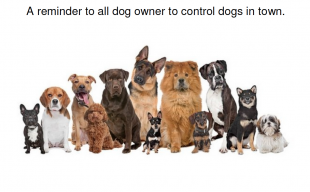Dogs COntrol