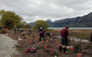 Tree Planting photo 2