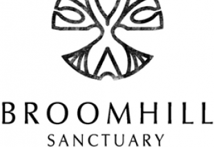 Broomhill logo small