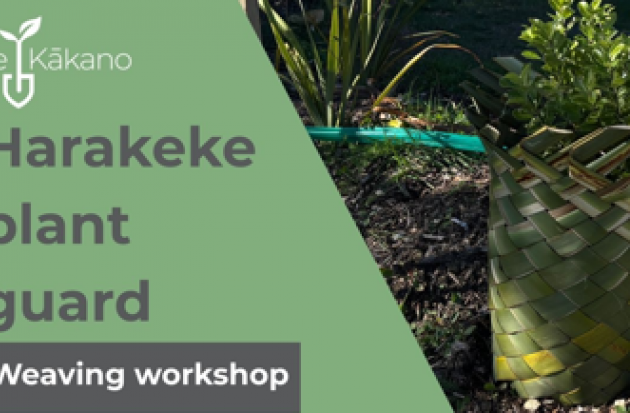 Interwoven Screenshot 2026 01 30 102325