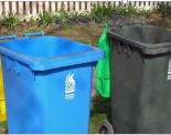 rubbish bins