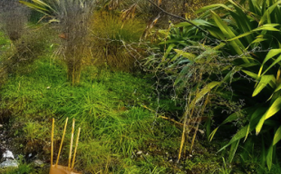 Screenshot 2025 11 25 at 12.21.07PM