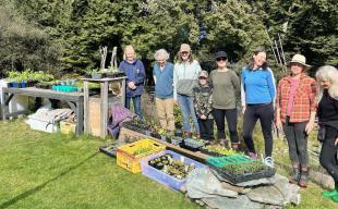 Glenorchy Seed Co Op photo