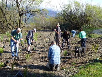 Capture planting