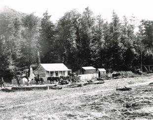 GYM Turners Creek WA Grants house and Mill at Kinloch W.Grant on white horse Bryants with Bikes2