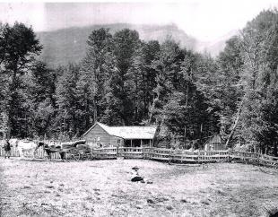 Arcadia Fenns cottage