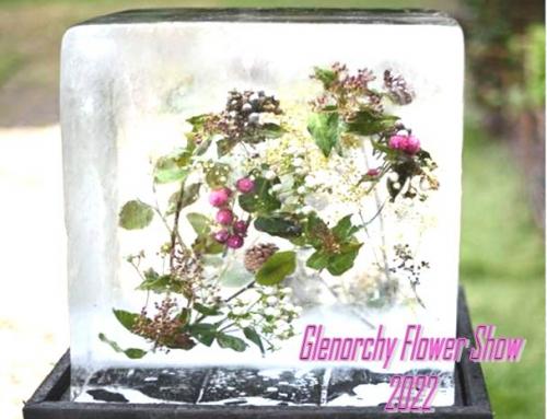 CaptureFlowershow22