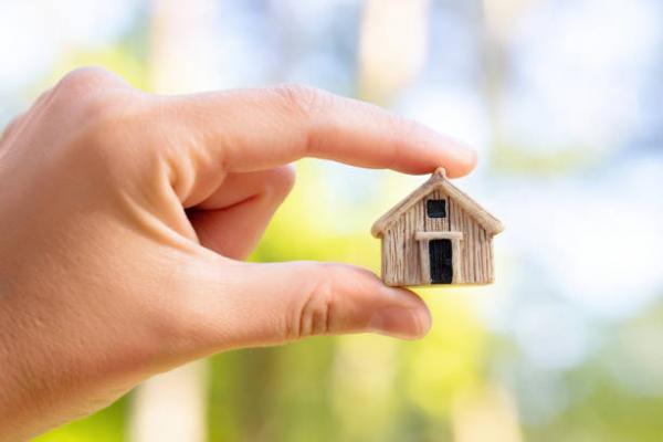 Tiny Home pic
