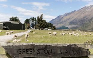 CaptureGreenstone1