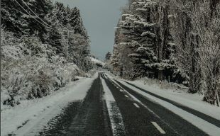 QLDC ROAD REPORT