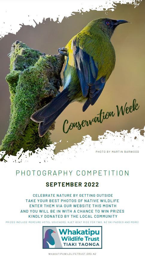 Capture Phot Competition