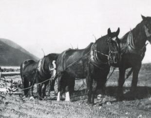 GY Museum Land Girls 1 Reta1