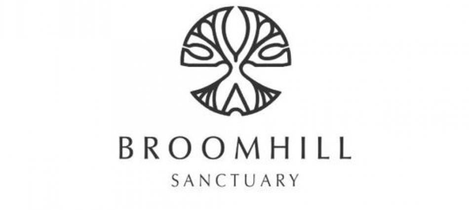 BROOMBROOM