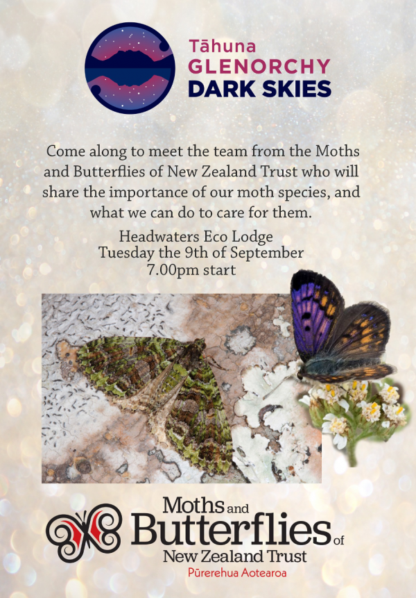 Moths and Butterflies poster